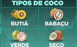 Existem quatro tipos de coco: o butiá, que é mais conhecido na Bahia, Goiás e Minas Gerais; o babaçu, mais comum no Tocantins, Maranhão e Piauí; o coco verde e o seco