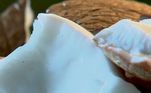 Comer pedaços de coco seco ajuda a mascarar a fome. Quando consumido entre as refeições, a pessoa absorve nutrientes que tem como base a gordura boa. O coco gigante tem uma polpa mais grossa e rica em gordura. Muito utilizado pela indústria na produção de leite, farinha e o óleo de coco