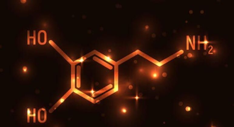 Dopamina - função, efeitos e como aumentar a produção no organismo