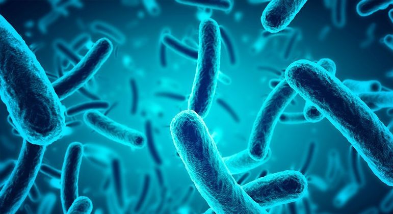 Dopamina - função, efeitos e como aumentar a produção no organismo