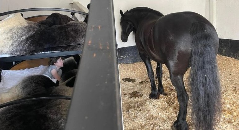 Já pensou em dormir ao lado de um cavalo? Basta ter R$ 2.240 para gastar