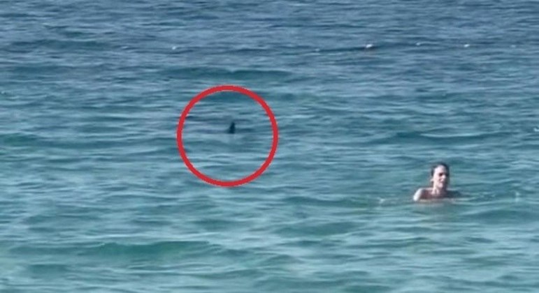 A nadadora não identificada manteve a calma e deixou o predador para trás