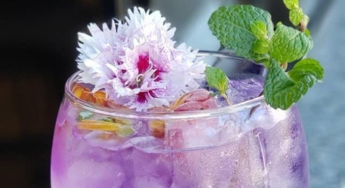 Drink com flor de clitória viralizou entre os internautas