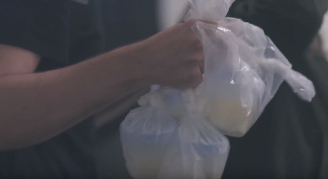 duda nagel sabrina sato