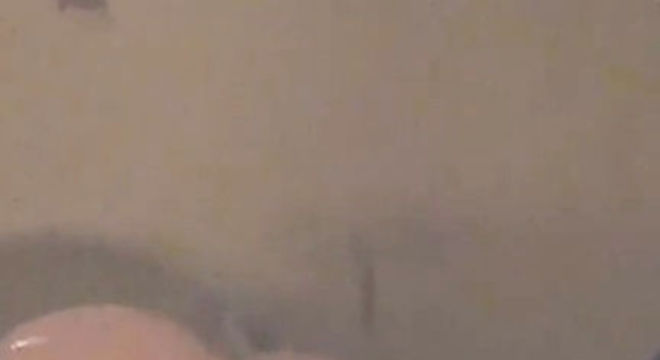 duda nagle sabrina sato