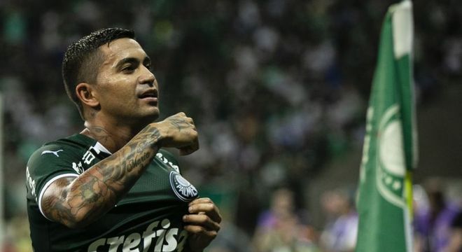 Dudu é o grande ídolo atual do Palmeiras