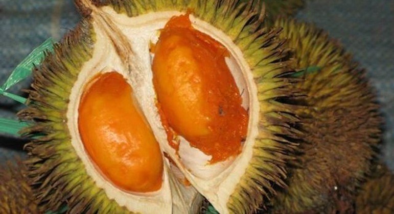 Durian é rica em nutrientes
