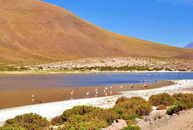 E encerrando o passeio está o Deserto do Atacama, o mais alto e seco do mundo. Paisagens espetaculares, com vulcões, salares, lagunas, formações rochosas e um céu estrelado incomparável. Os passeios em San Pedro de Atacama contemplam Vale da Lua e Vale da Morte, Piedras Rojas, entre outros clássicos.