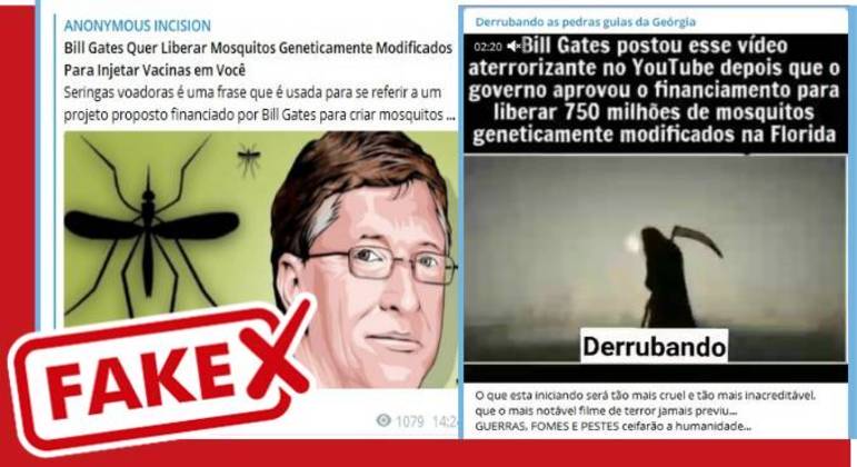 É fake que Flórida aprova vacinas através de mosquitos geneticamente modificados