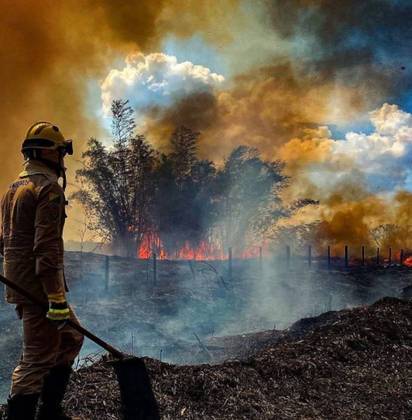 E há várias referências à Amazônia nas redes sociais do ator. Ele menciona que a capacidade da floresta de absorver dióxido de carbono da atmosfera e produzir oxigênio é 13% menor do que já foi. 