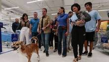 Rio libera entrada de animais de estimação nos supermercados