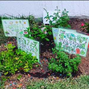 Horta feita pelos estudantes da Escola Vereda