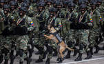 Além dos armamentos e dos homens que formam as Forças Armadas, alguns animais, como cachorros, desfilaram ao lado das tropas