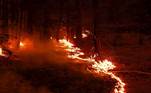 Plumas County (United States), 11/08/2021.- The Dixie Fire burns through a forest in Plumas County near Taylorsville, California, USA, 10 August 2021. The Dixie Fire in the northern Sierra Nevada has burned 198,378 hectare and is 27 percent contained. (Incendio, Estados Unidos) EFE/EPA/JOHN G. MABANGLO