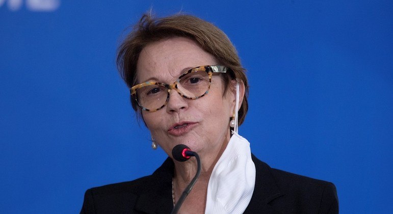 A ministra da Agricultura, Tereza Cristina; pasta vai contratar 60 cargos temporários