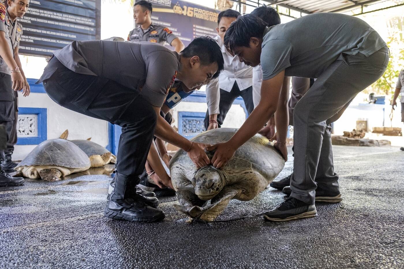 Família fica apavorada ao encontrar rara cobra albina no quintal