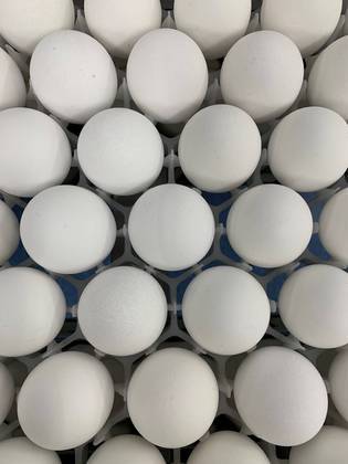 ACOMPAÑA CRÓNICA: COERONAVIRUS BRASIL - AME7367. SAO PAULO (BRASIL), 21/06/2021.- Detalle de varios huevos de gallina en un laboratorio el 18 de junio de 2021, en Sao Paulo (Brasil). Los científicos brasileños trabajan a contrarreloj para producir el primer inmunizante anticovid de un país que ya supera el medio millón de muertos. El reto: conseguir veinte millones de huevos de gallina para fabricar 40 millones de dosis de la vacuna. El fármaco, bautizado como Butanvac, está siendo desarrollado por el Butantan, uno de los laboratorios de referencia en Brasil y que actualmente es responsable de la producción local de la Coronavac, la vacuna ideada por la china Sinovac. EFE/ Alba Santandreau