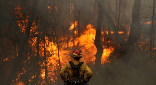 Governador da Bahia decreta emergência em 73 municípios por incêndios florestais