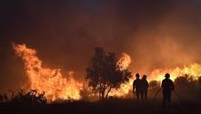 Incêndios afetaram 25% da maior área protegida de Portugal neste verão