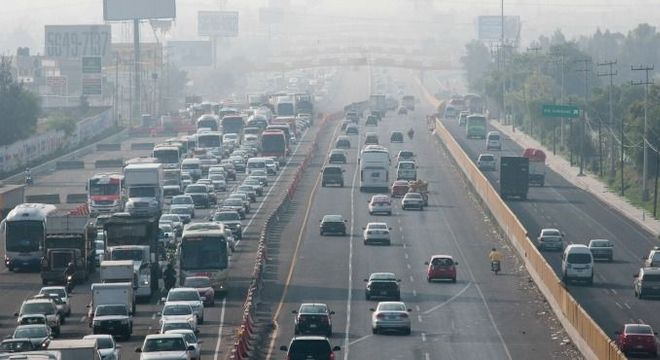 Efeito cobra: saiba qual é a origem do termo e o que ele significa