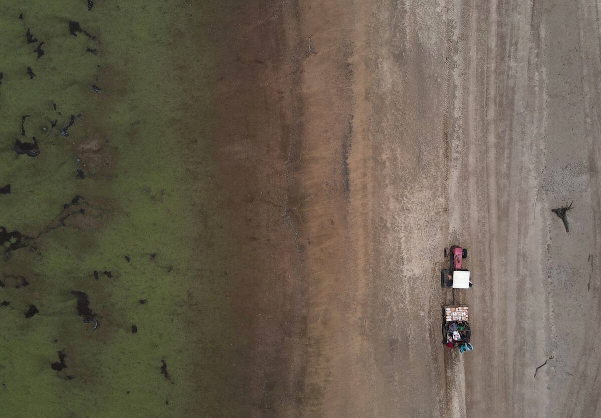 El Niño continuará até meados de 2024, ameaçando a agricultura