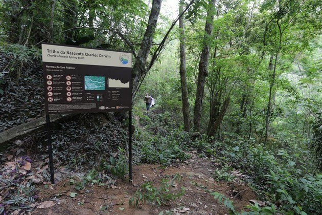 Elas estão no Parque Estadual da Serra da Tiririca e foram percebidas por pesquisadores da Universidade Federal Rural do RJ e do Jardim Botânico do RJ. 