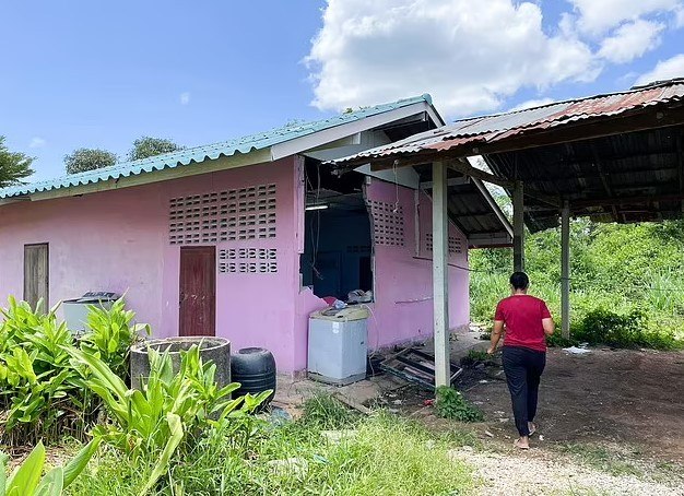 Touro covarde foge de rival, invade casa e aterroriza moradores - Hora 7 -  R7 Hora 7