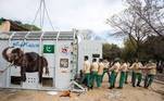 Kaavan é considerado o 'elefante mais solitário do mundo'. Durante três décadas viveu em isolado em uma pequena jaula em um zoológico de Islamabad (capital do Paquistão). No país, ele era o único elefante asiático e o zoológico recebeu diversas acusações de condições precárias de cuidados