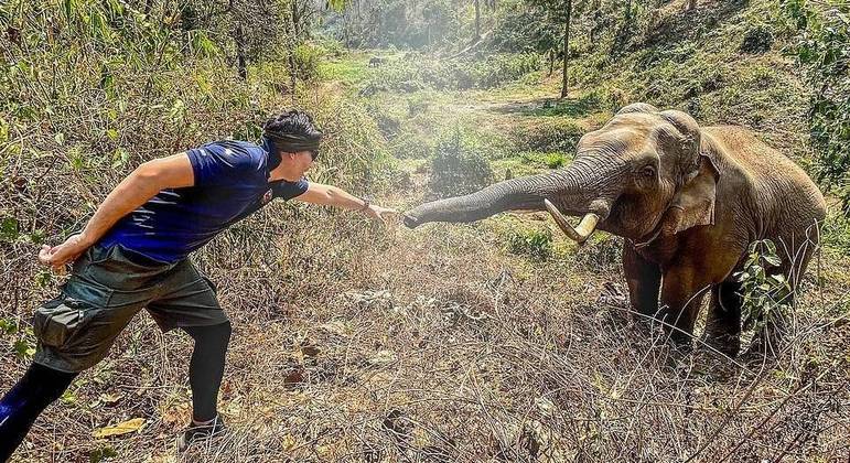 A memória de elefante realmente existe