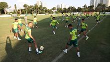 Tamanho do elenco do Palmeiras é igual de seleção para uma Copa