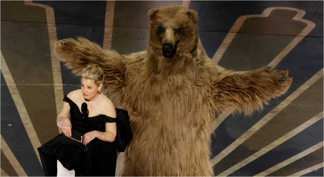 A história real que inspirou o filme “O Urso do Pó Branco”