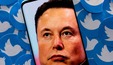 Musk anuncia assinatura mensal de R$ 41 para certificar contas no Twitter (Dado Ruvic/Reuters/Ilustração)