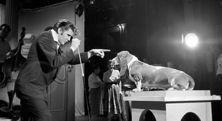 Elvis, em 1956, cantando para um basset hound na TV