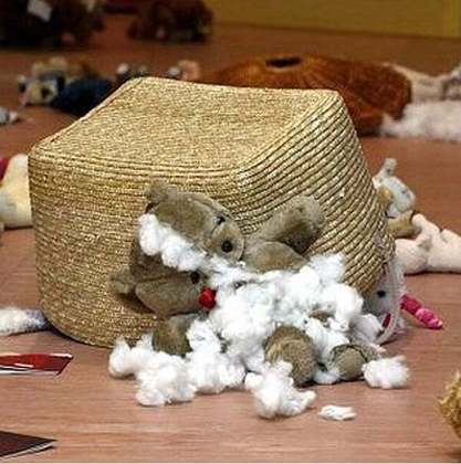 Em 1° de agosto de 2006, um cão de guarda da raça Doberman destruiu uma coleção rara de ursos de pelúcia avaliada em cerca de 900 mil dólares, no museu Wookey Hole Caves, em Somerset. 