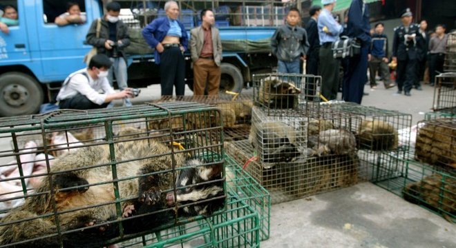 Em 2004, as autoridades confiscaram civetas no mercado de animais silvestres de Xinyuan, em Guangzhou, para impedir a propagação da Sars