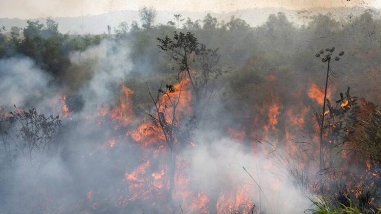 Em 2019, Altamira registrou 575 km² de desmatamento: a maior devastação do país. O Instituto Nacional de Pesquisas Espaciais detectou 3.800 focos de fogo em Altamira.