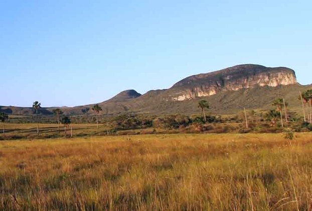 Em 38 anos, a pastagem cresceu 17 milhões de hectares, ou seja, cerca de 26% do Cerrado, segundo a pesquisa do MapBiomas.