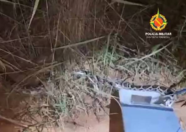 Em abril deste ano, uma equipe da PM Ambiental do Distrito Federal soltou uma píton numa área de Cerrado após confundi-la com jiboia. Especialistas alertaram para o risco da soltura, pois o animal não tem predadores no Brasil. 