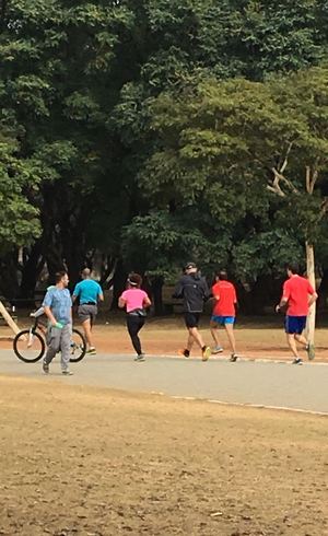 Em ação com o Geons