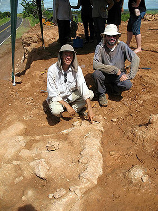 Em mais de 200 sítios paleontológicos no mundo, foram descobertos ovos (fossilizados) de dinossauros. Eles estão principalmente na Ásia, em rochas da superfície formadas no Cretáceo