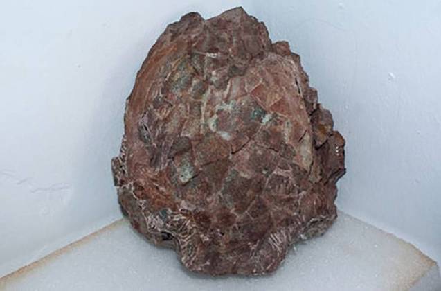 Em novembro deste ano, 30 ovos de Titanossauro foram encontrados em Loarre, na província de Huesca, no nordeste da Espanha. Eles estavam incrustados numa rocha de duas toneladas. Os ovos têm cerca de 66 milhões de anos.