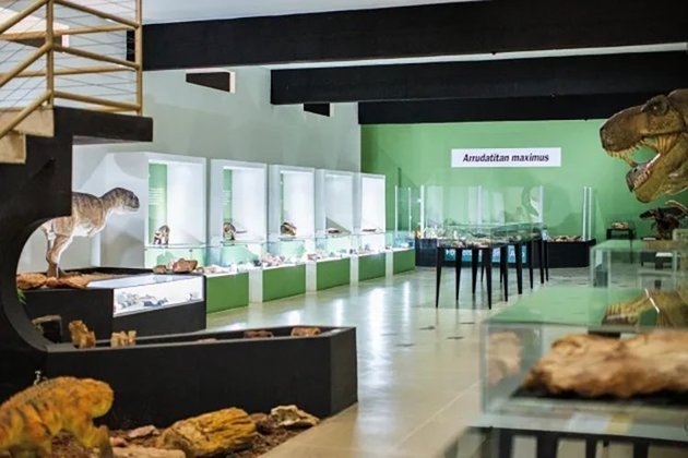 Em São Paulo, o Museu de Paleontologia Antonio Celso de Arruda Campos tem uma vasta coleção de espécies do Período Cretáceo, o último da Era dos Dinossauros, entre 145 milhões e 66 milhões de anos atrás.  