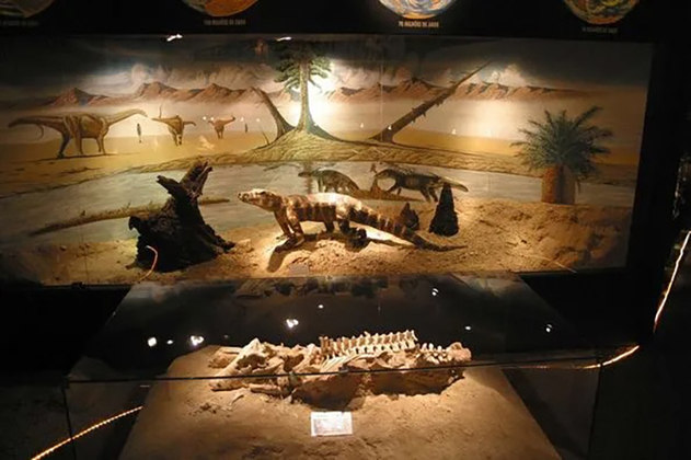Em Uberaba, Minas Gerais, fica o Museu dos Dinossauros, que guarda mais de 3 mil exemplares de fósseis. São ossadas de 66 a 80 milhões de anos.