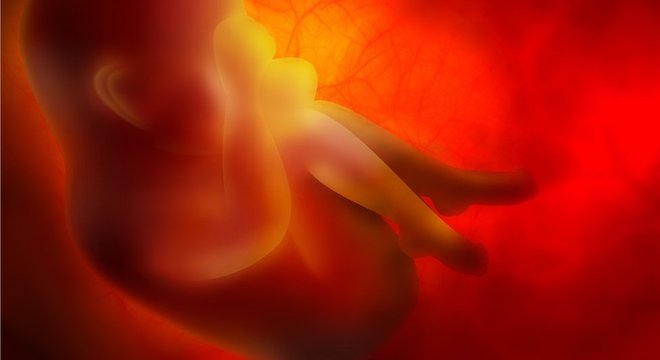 Legislação brasileira e da maioria dos países proíbe engenharia genética com embriões