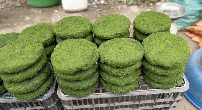 Antes de viralizar nas redes, os povos indígenas de todo o mundo já estavam complementando suas dietas com spirulina comprada em mercados locais