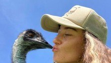 Conheça Emmanuel, o emu enxerido que se tornou sensação do TikTok