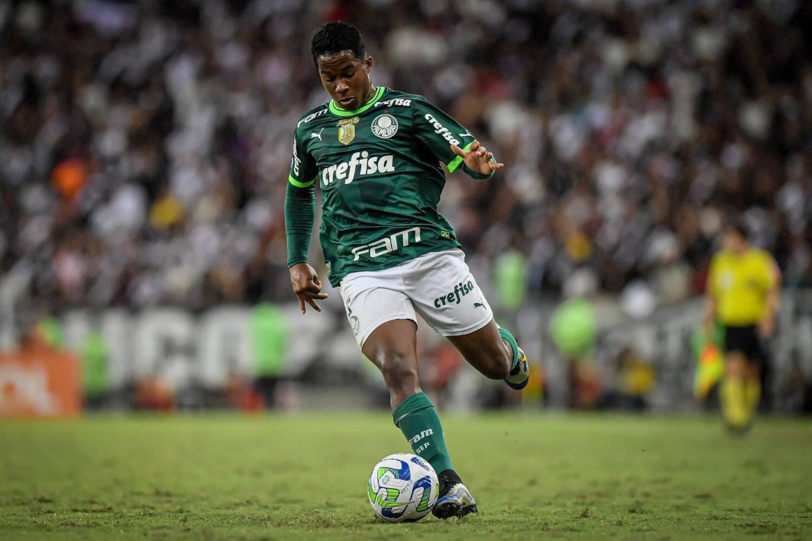 Mais de 30% dos jogadores do Palmeiras no Brasileirão são 'Crias da  Academia' - Fotos - R7 Campeonato Brasileiro Série A