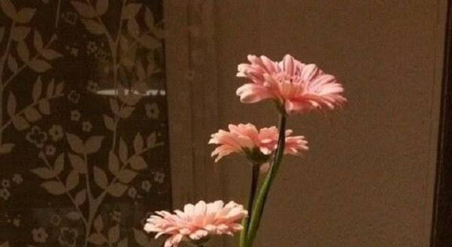 Enfeite a sala de jantar com um lindo e delicado vaso com flores de gérbera