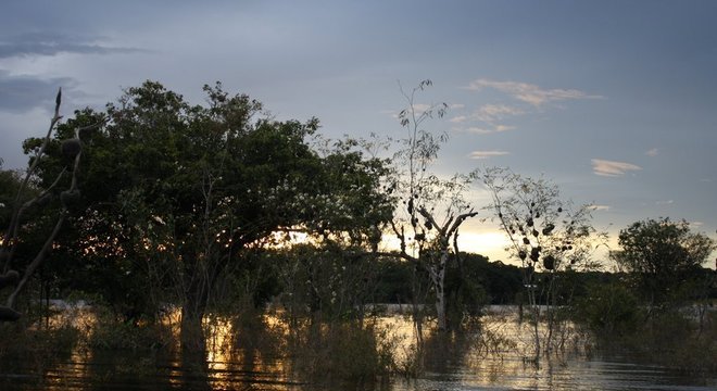 Unidades de preservação foram afetadas por construção de hidrelétricas
