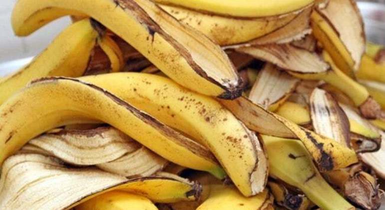 Entenda por que você não deve jogar a casca de banana no lixo